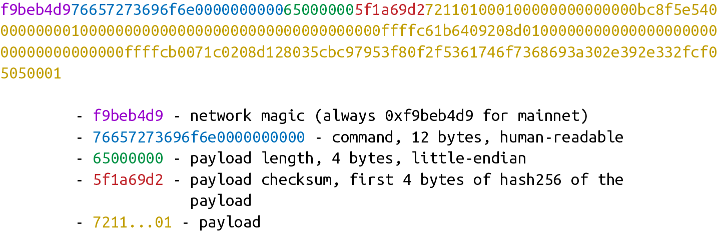 網路消息樣例-封裝了真實的payload