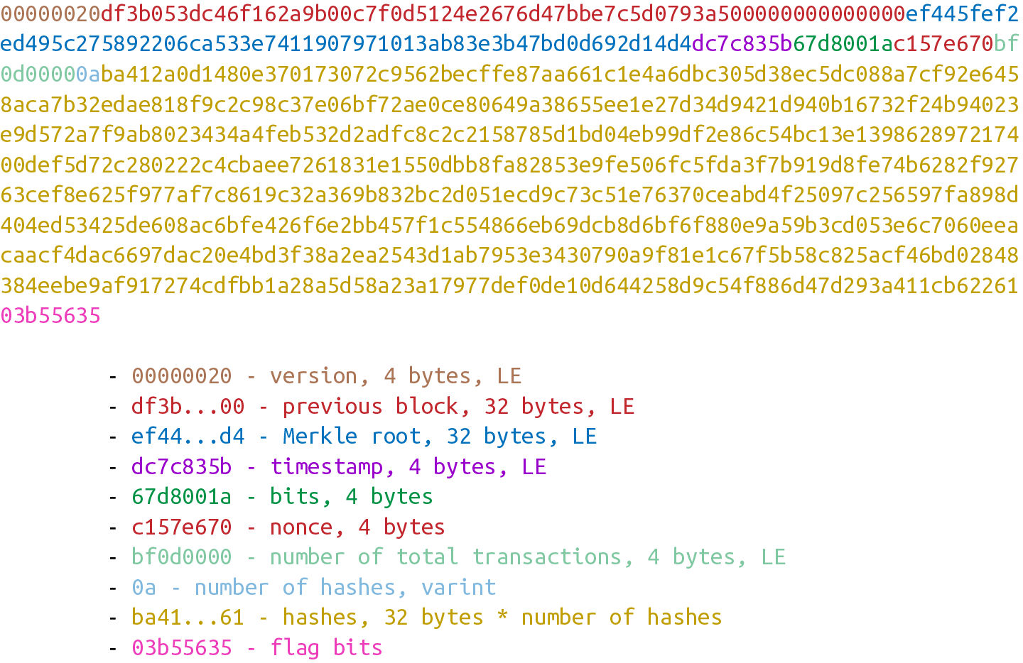 解析默克爾區塊