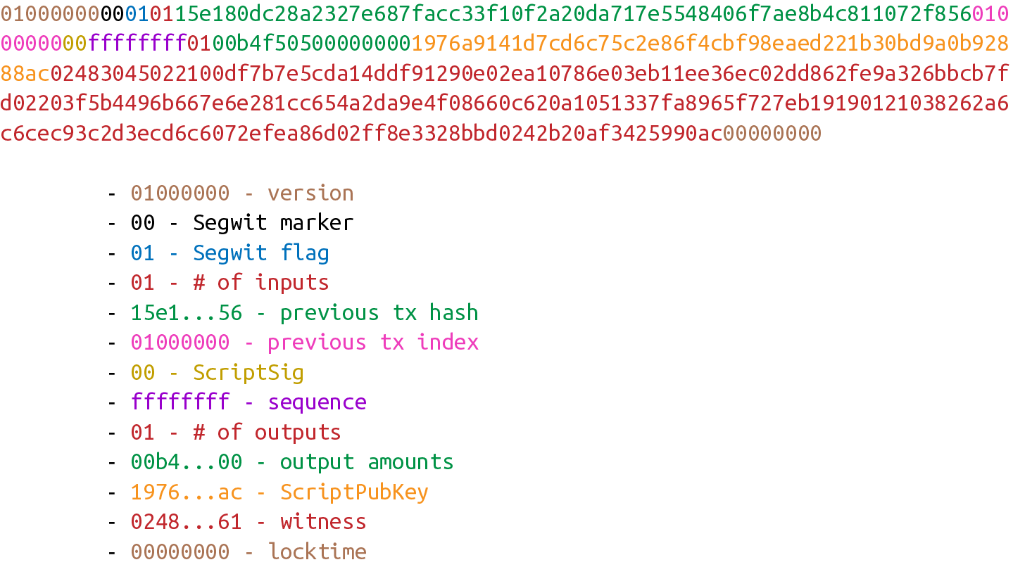升級了BIP0141節點眼中的支付到見證公鑰雜湊交易（p2wpkh）