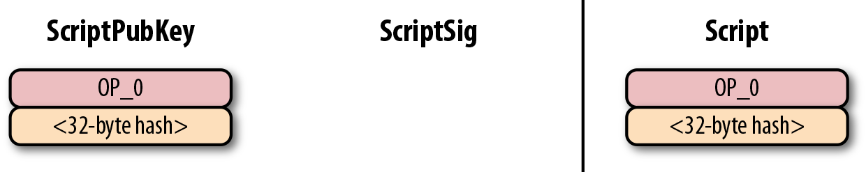 Pay-to-witness-script-hash (p2wsh) 的公鑰腳本